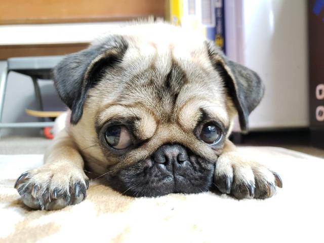 カーディス サービス紹介の6つ目