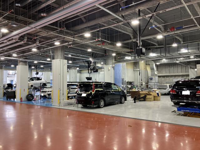 ニューガイアモータース10