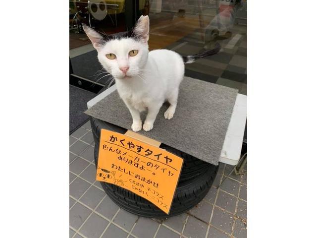 日産ティーダ　純正ナビ持ち込み取付致しました。～福岡県那珂川市の車屋ニコラス～