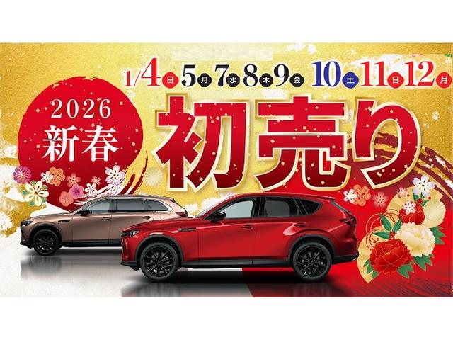 �ʳ��˶彣�ޥĥ����Զ�Ź