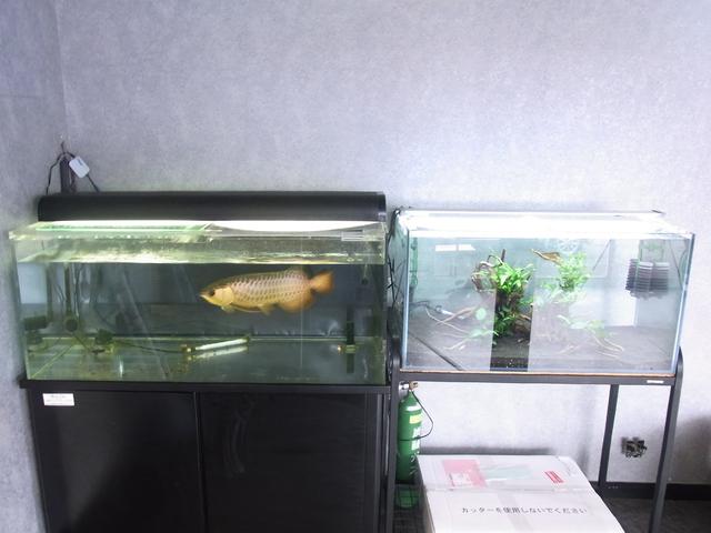 ㈱ 岡本商事(5枚目)