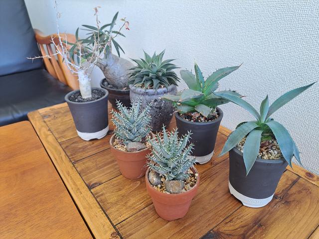 車買取 チャンピオン 南部バイパス店 サービス紹介の6つ目