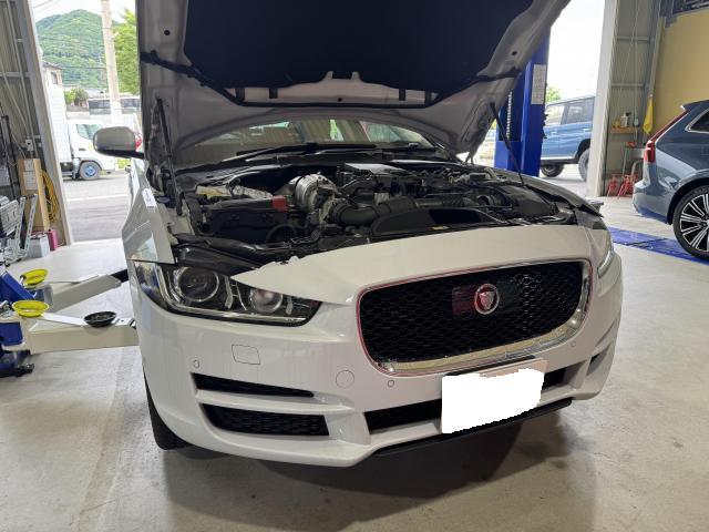 新着の作業実績