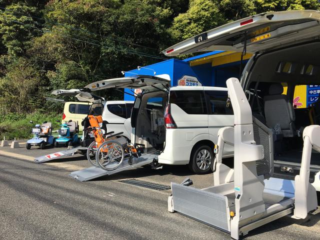 ʡ���������Ź�������⥹