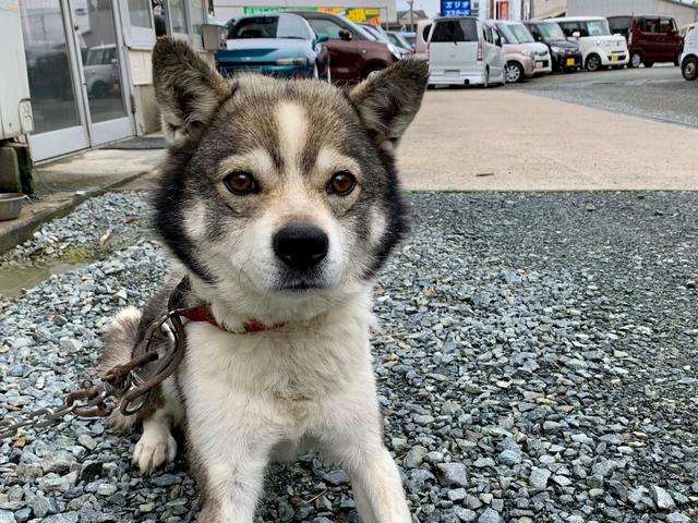 大和自販 サービス紹介の6つ目