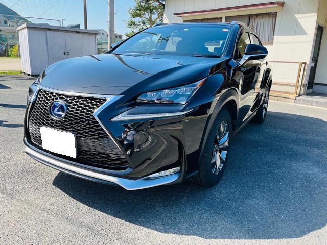 LEXUS NX Fスポーツ磨き コーティング
