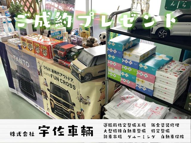 ������ҡ���������