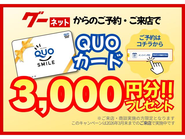 2026ǯ01��19����2026ǯ03��31��