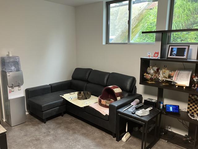 ハチミツオート12