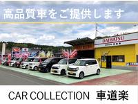 CAR COLLECTION 車道楽