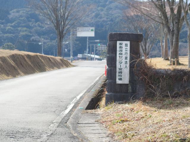 フルカワカーセールス(2枚目)