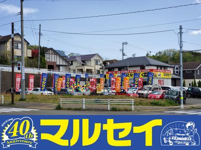 マルセイの画像