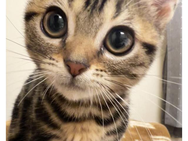 Ｍｕｇｅｎ Ｇａｓ ｓｔａｔｉｏｎ 株式会社夢源 サービス紹介の6つ目