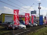 ����Ź����