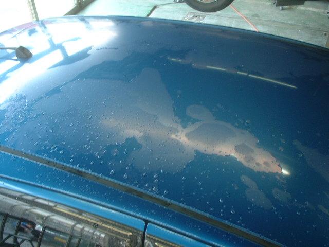 車の屋根の塗装が変 透明な膜が剥げてきた グーネットピット