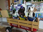 広報担当 当社マスコット