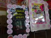 自動車保険のご相談もＯＫ！専門スタッフが最適な保険プランをご提案致します。