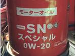 ＳＮスペシャル０Ｗ－２０