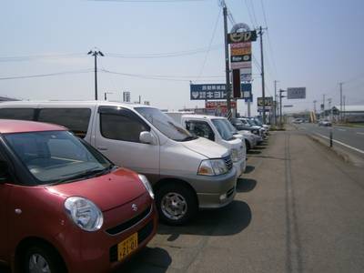 販売も致します。