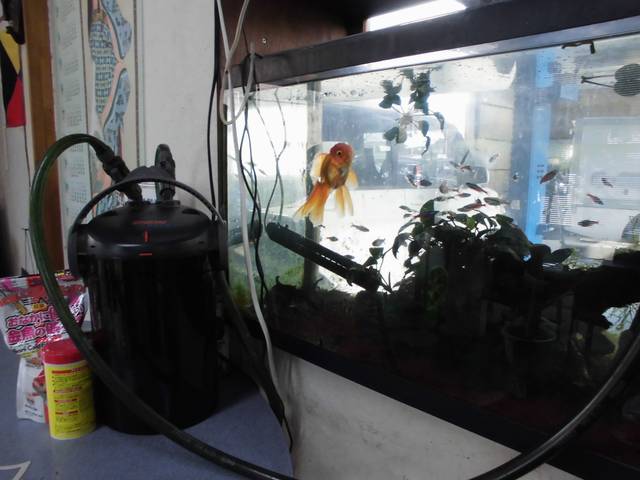 有限会社ファインドオート サービス紹介の4つ目