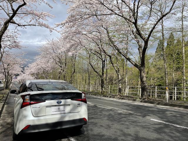 カーセブン７号バイパス弘前北店