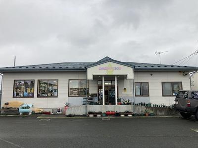 ＮＡＵＧＨＴＹ　ＢＯＹ　ノウティーボーイの画像