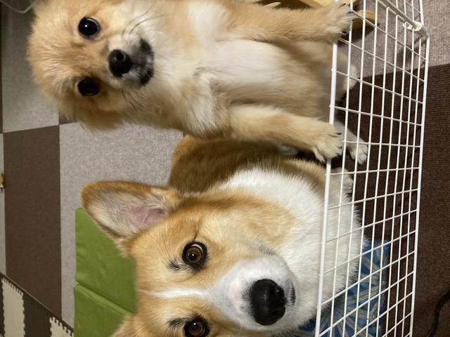 （株）テクト サービス紹介の3つ目