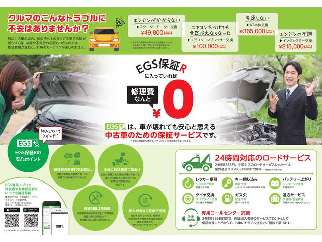 Eagle Eye Plus(6枚目)