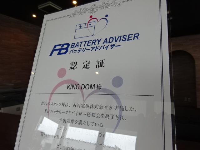 カープリヴェイル　キングダム15