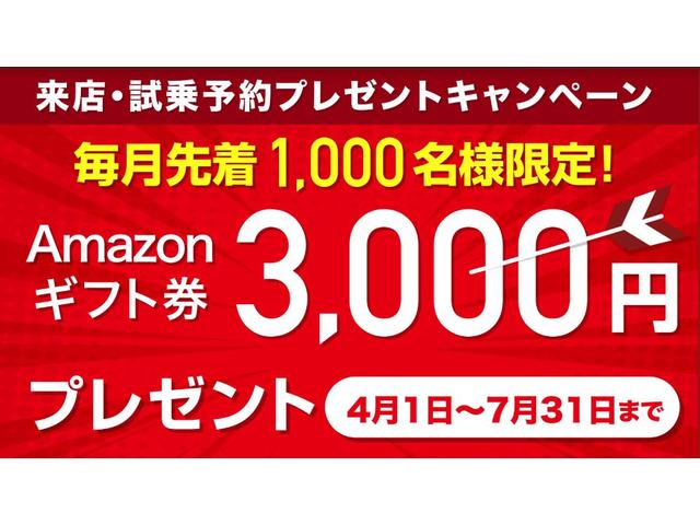 Car Trust Ray カートラスト・レイ(4枚目)