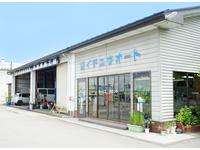 ��ͭ�˥����楦������