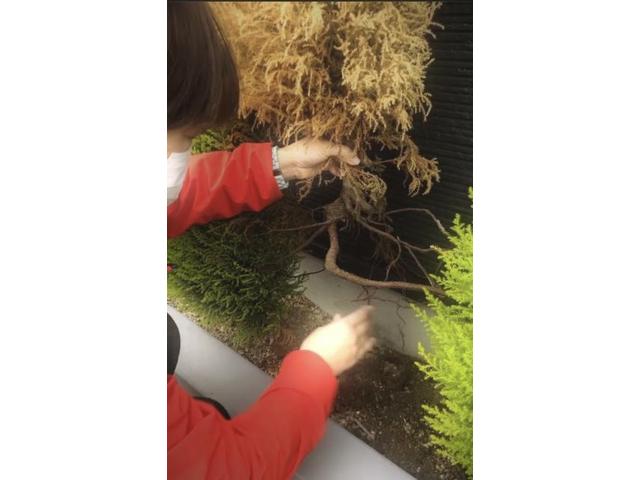 悔しい出来事　～ジョイカル出雲知井宮店　神戸川オートサービス　島根県　出雲市～