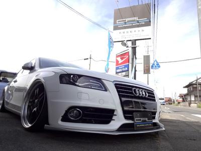 ドレスアップも得意です！