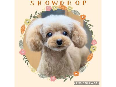 看板娘もよろしくお願いします！