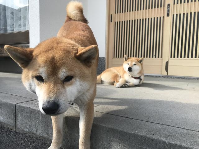 スタッフ紹介1