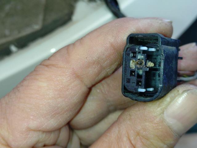 ＭＩＮＩ　ＭＩＮＩ　電装系修理 　岡山市　南区
F54MINI　クラブマン　6ヶ月点検　ストップランプ交換