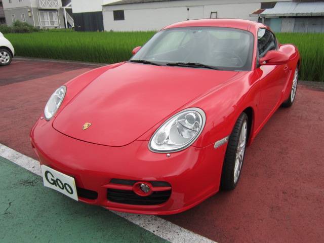 ��ͭ�˿��ļ�ư��