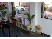 オートブランド　トータス6