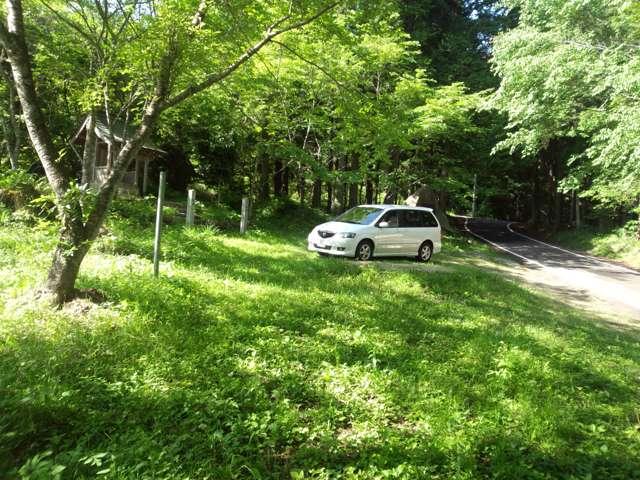 CAR BEE (0枚目)