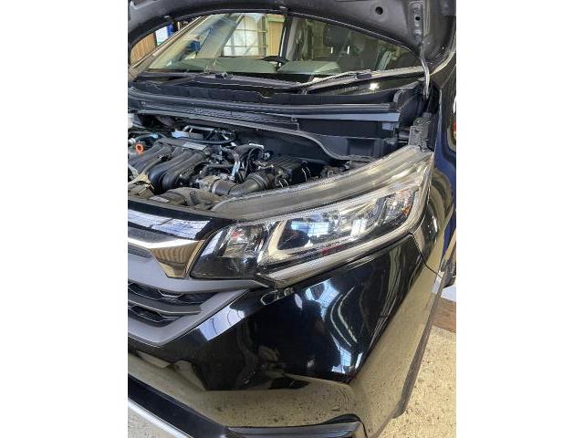 ホンダ　フリード　ボディコーティング