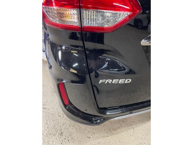 ホンダ　フリード　ボディコーティング