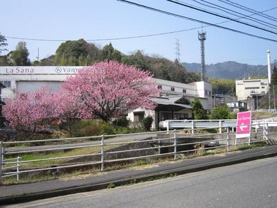 石内バイパスから車で５分程度です！