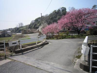 ピンクの看板のある橋はこんな感じです！