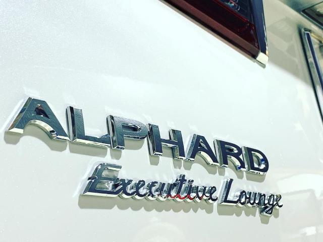 30アルファード  ボディーコーティング  オール磨き  ガラスコーティング施工