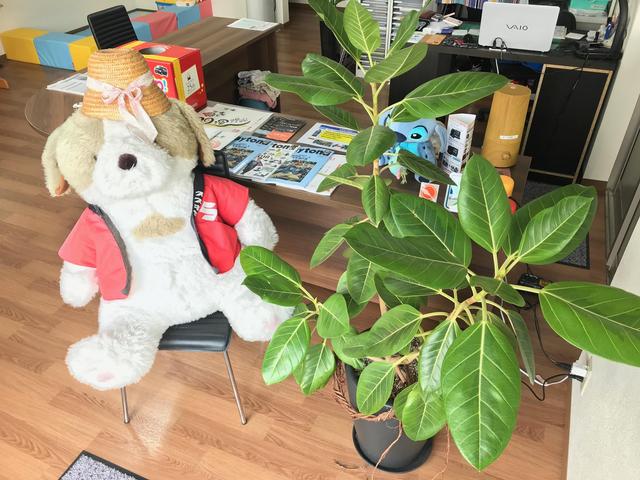 Car Shop ベクトル(4枚目)