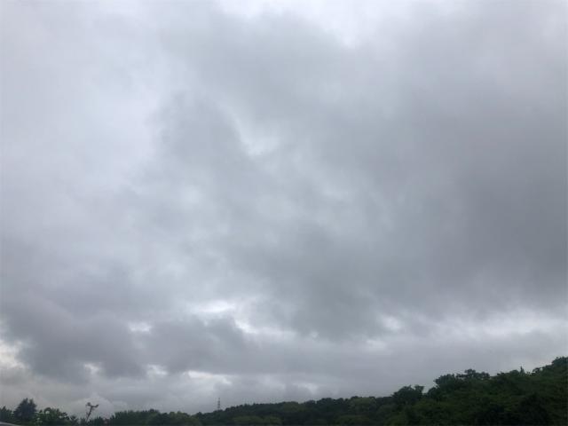 オークションに参加！！【岡山県　岡山市南区で持込でのタイヤ交換・ドライブレコーダー・ナビ等のパーツ取付・コーティング施工・車検・修理の事なら”オートサービス坪井石油”へ！】