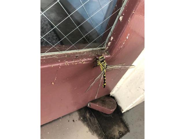 スズキ　パレット　プラグ交換　水漏れ修理・スズキ　キャリートラック　オイル、タイヤ交換【岡山県　岡山市南区で持込でのタイヤ交換・ドライブレコーダー・ナビ等のパーツ取付・コーティング施工・車検・修理の事なら”オートサービス坪井石油”へ！】