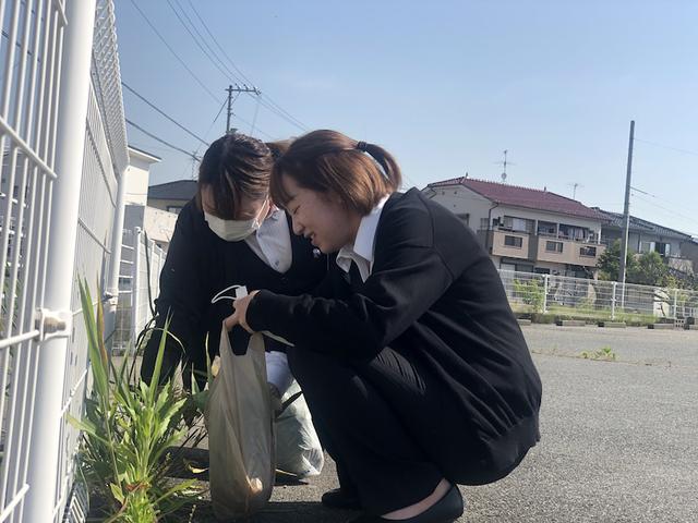 最近ハマっていること（羽村）【尾道市　福山市　三原市でお車の整備・車検・メンテナンス・修理　全部マルっと　カープランニング広島　へまかせんさい！！】