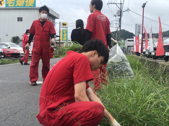 今年も雑草魂（田頭）【尾道市　福山市　三原市でお車の整備・車検・メンテナンス・修理　全部マルっと　カープランニング広島　へまかせんさい！！】