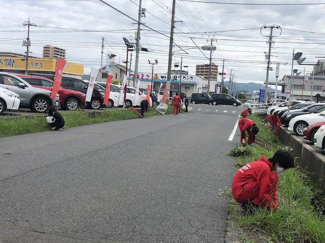 今年も雑草魂（田頭）【尾道市　福山市　三原市でお車の整備・車検・メンテナンス・修理　全部マルっと　カープランニング広島　へまかせんさい！！】